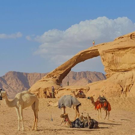 Wadi Rum Desert Camp Eksteriør bilde