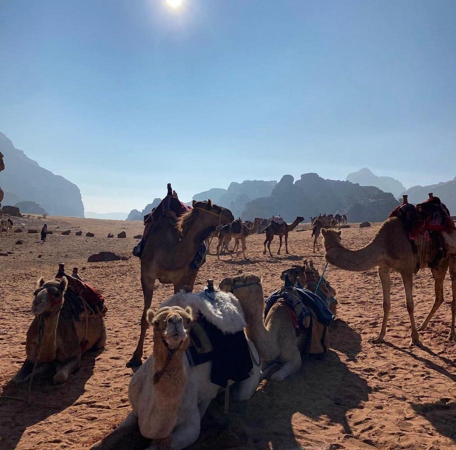 Wadi Rum Desert Camp Eksteriør bilde