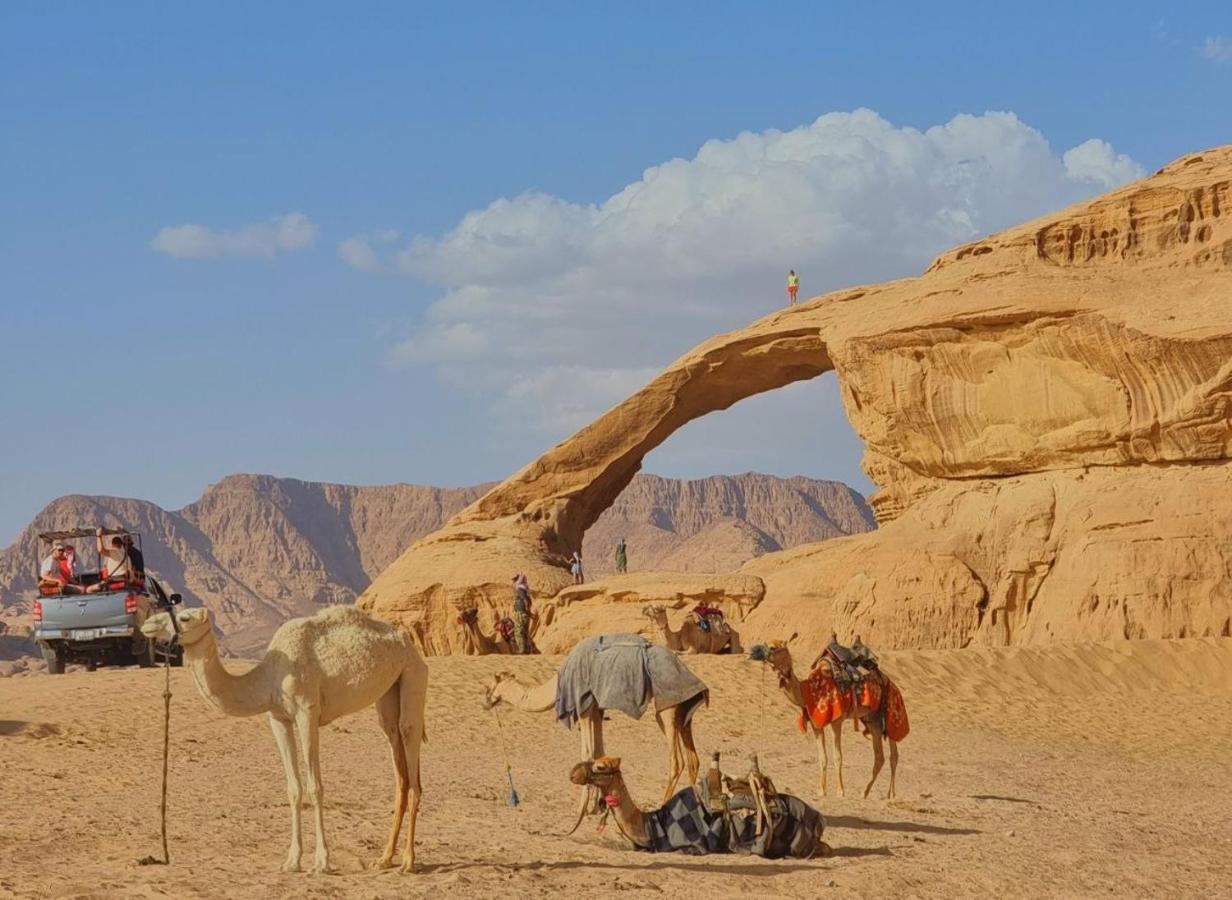 Wadi Rum Desert Camp Eksteriør bilde