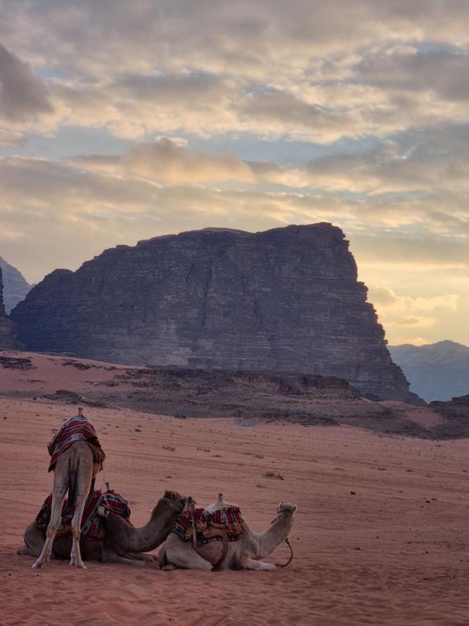 Wadi Rum Desert Camp Eksteriør bilde